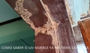 comprobación de carcoma en muebles de madera