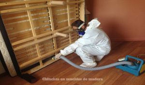 Chinches en muebles de madera