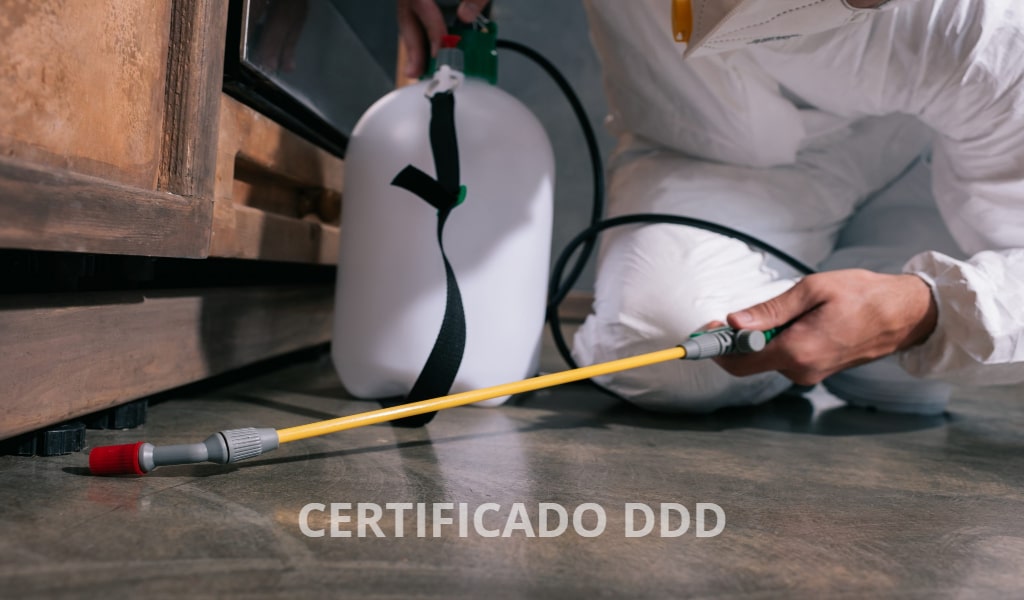 Certificado DDD