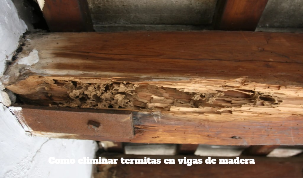 Como eliminar las termitas en vigas de madera
