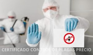 CERTIFICADO-CONTROL-DE-PLAGAS-PRECIO