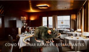 COMO ELIMINAR RATAS EN RESTAURANTES