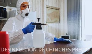 desinfección de chinches precio