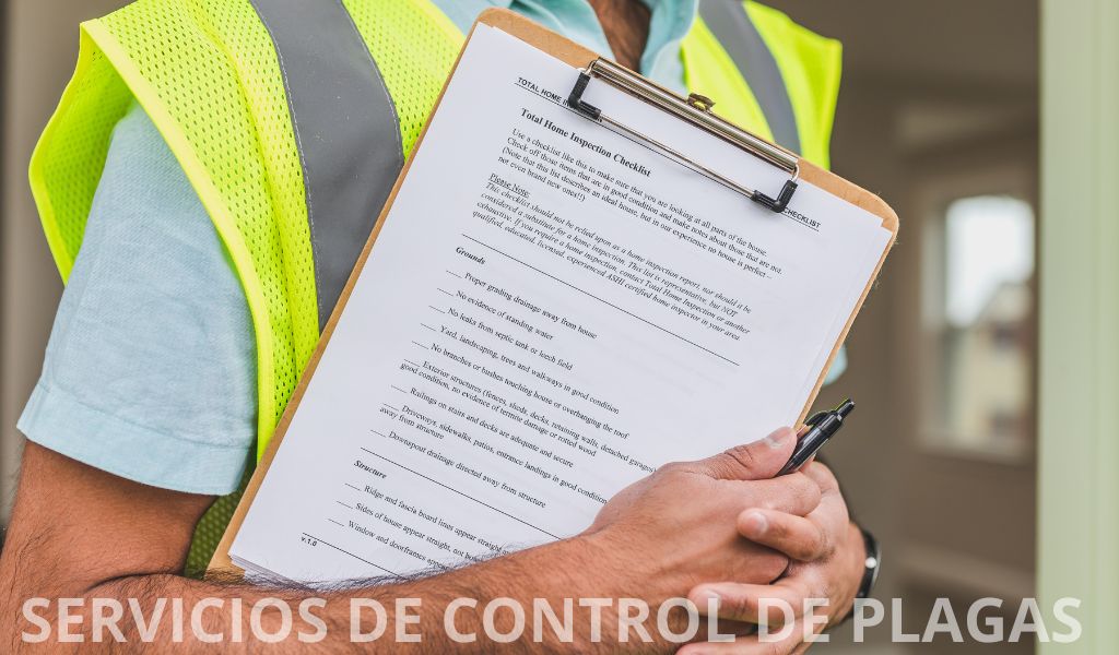 Servicios de control de plagas en madrid: ¿qué debes saber antes de contratar?