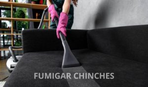 fumigar chinches