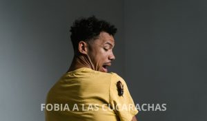fobia a las cucarachas