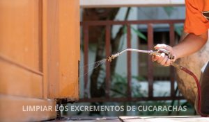 limpiar los excrementos de cucarachas