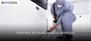 control-de-plagas-para-empresas