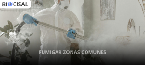 fumigar-zonas-comunes
