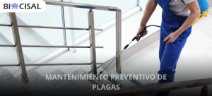 mantenimiento-preventivo-plagas