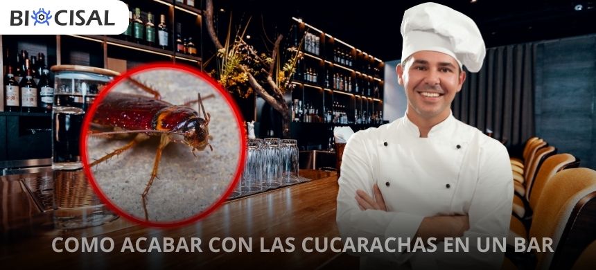 como-acabar-con-las-cucarachas-en-un-bar