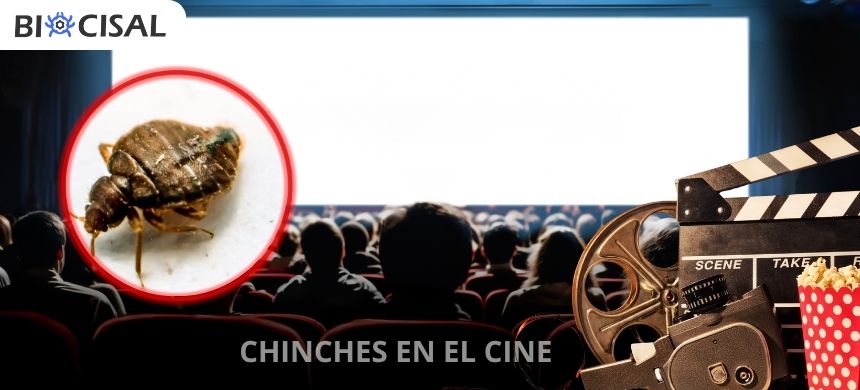 Chinches-en-el-cine
