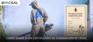 como-saber-si-un-certificado-de-fumigación-es-legal