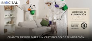 cuánto-tiempo-dura-un-certificado-de-fumigación