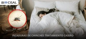 picaduras de chinches tratamiento casero